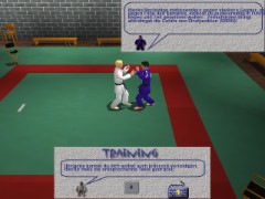 3D Judo Fighting Demo 1.07